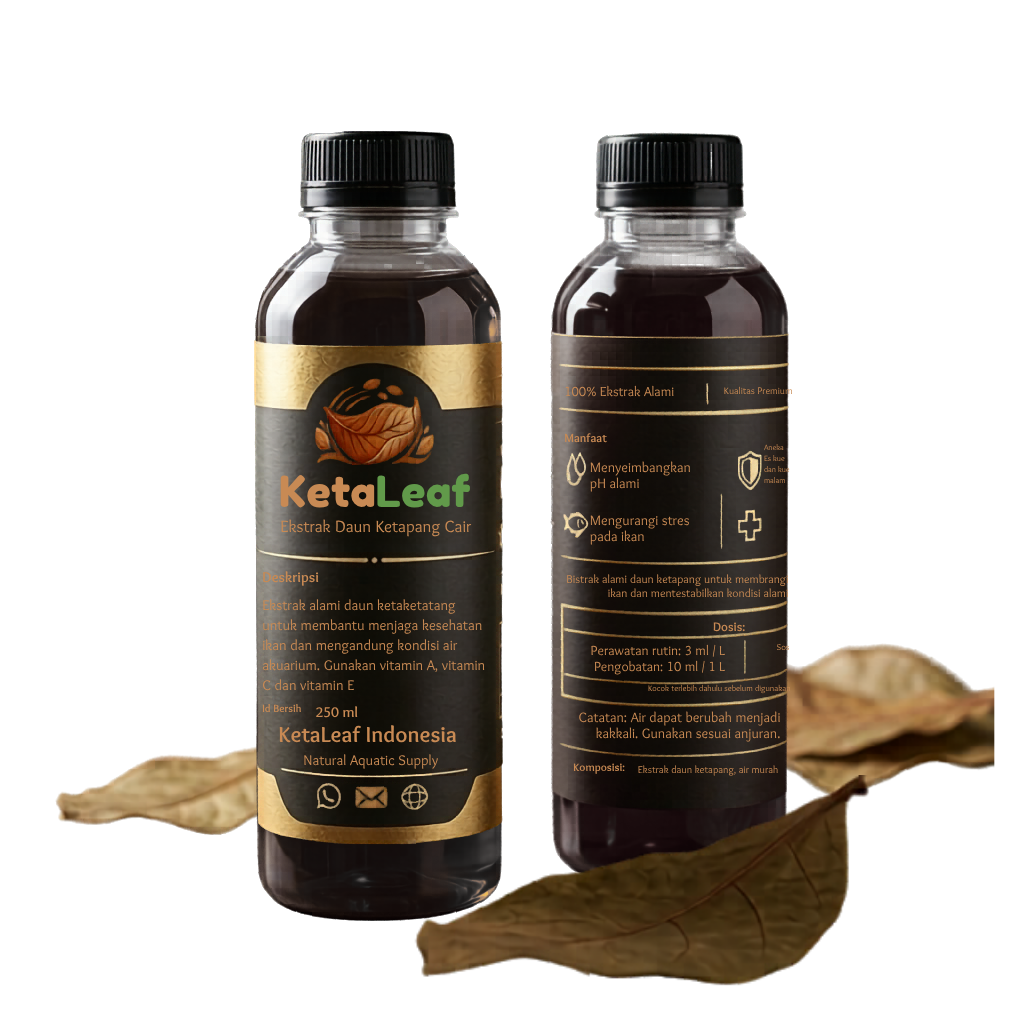 Ekstrak Cair Ketapang